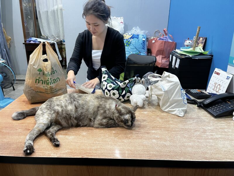 ローカルの洗濯屋カウンター