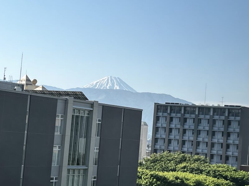 部屋からの景色