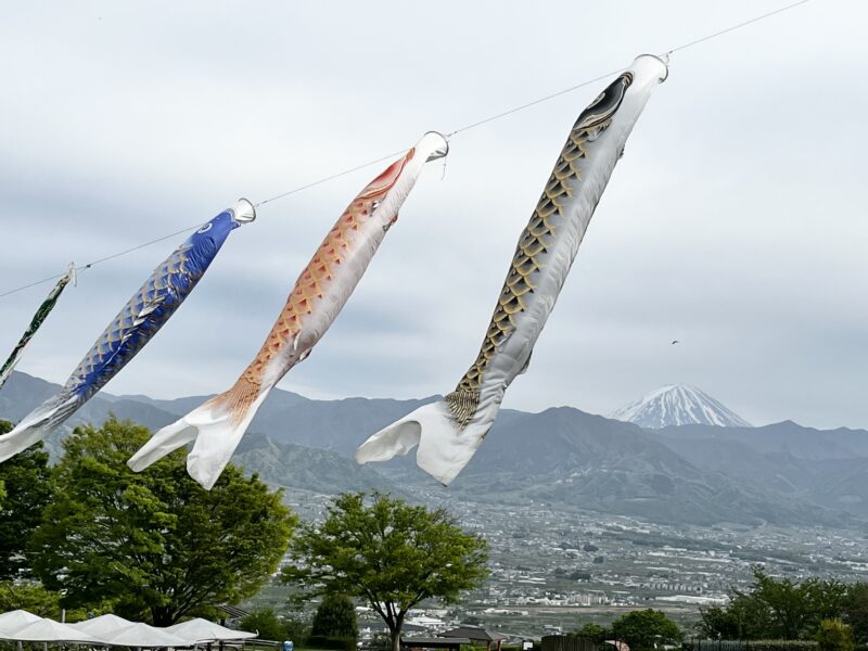 フルーツ公園鯉のぼり