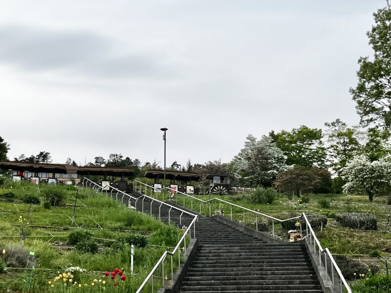 フルーツ公園