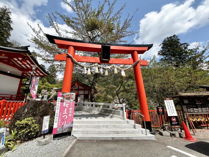 金櫻神社(鳥居)