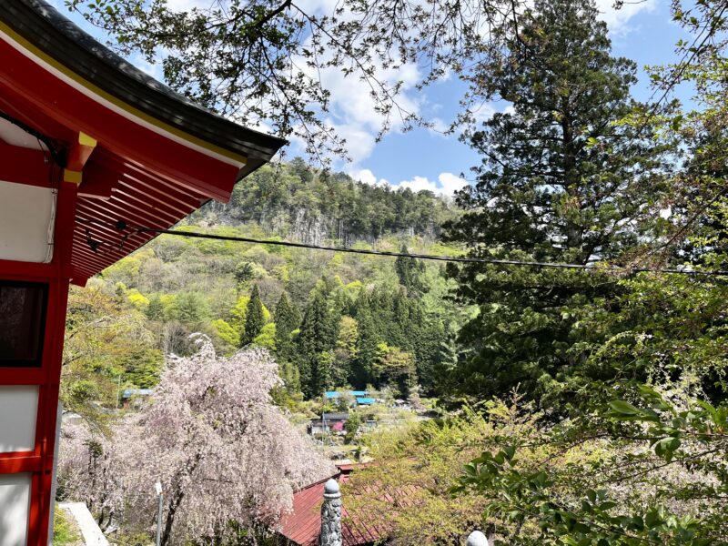 金櫻神社