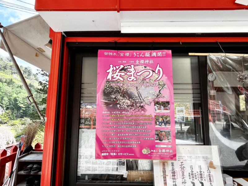 金櫻神社(桜まつり)