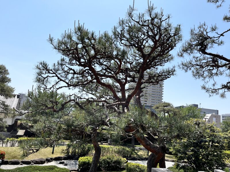 日本庭園
