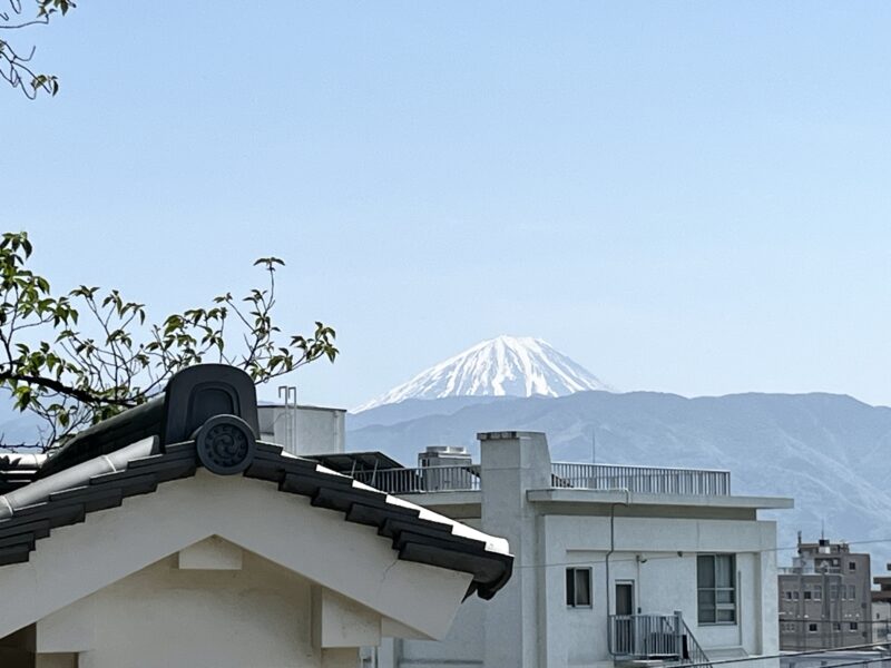 数寄屋曲輪からの景色