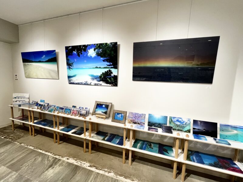島の色展『Blue, Blue, Blue.』