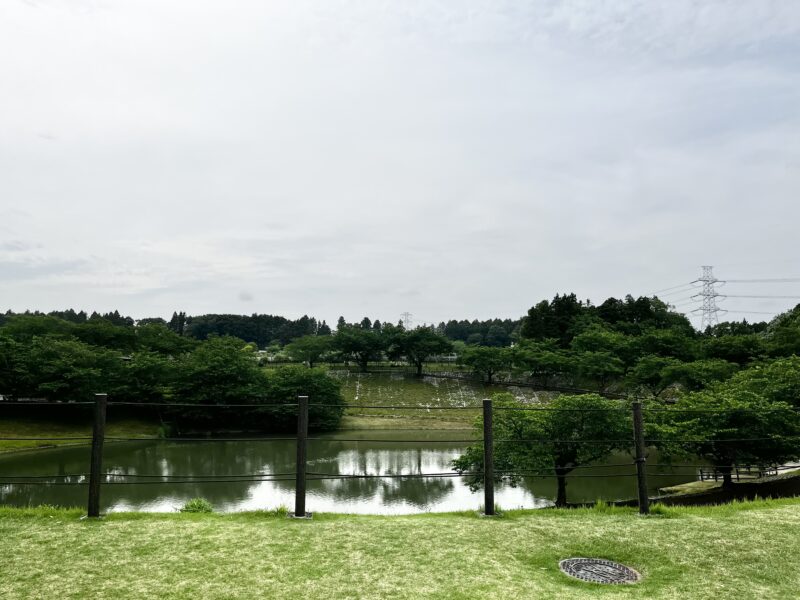 池
