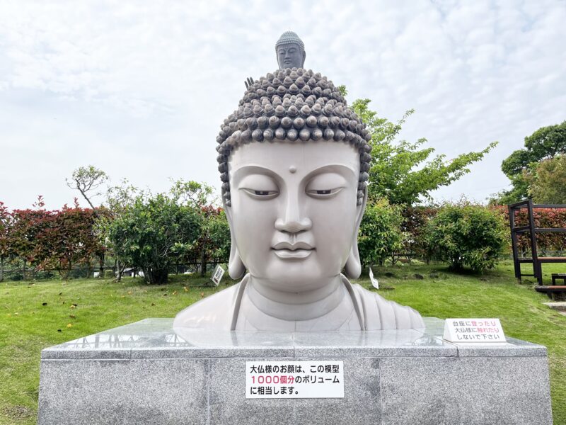 大仏様のお顔