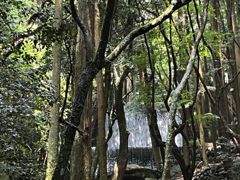だんごあん(滝)