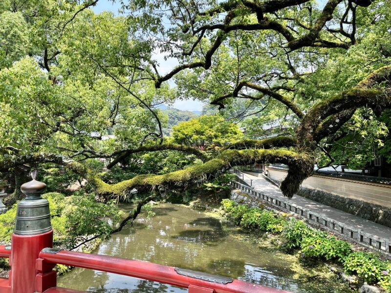 太宰府天満宮