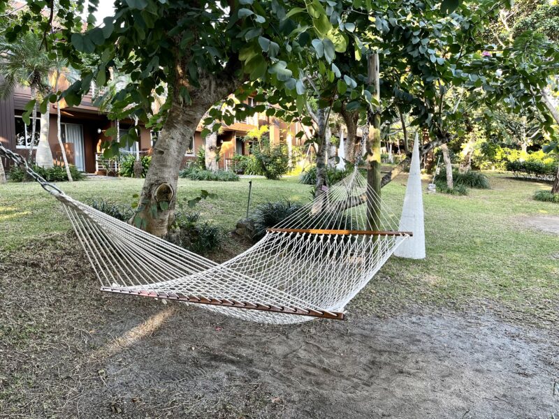 ハンモック