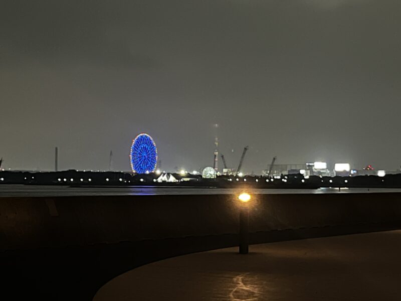 海