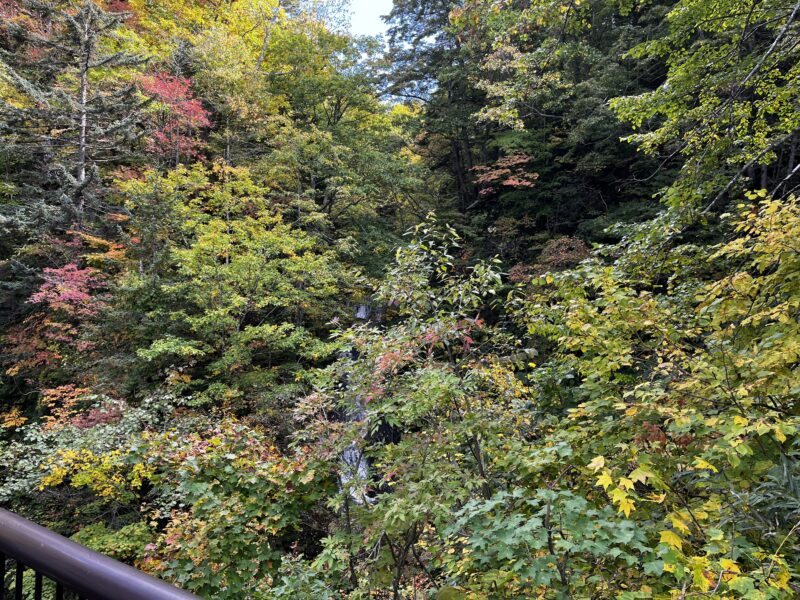 豊平峡