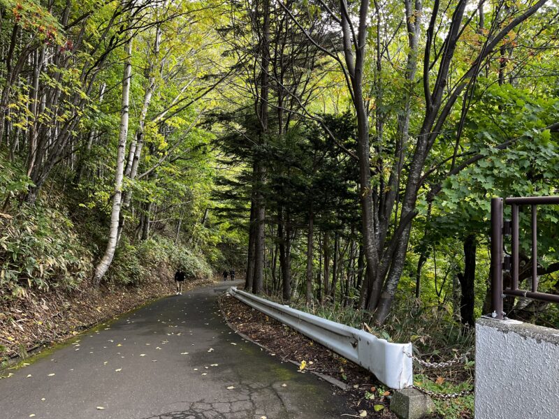 豊平峡の道