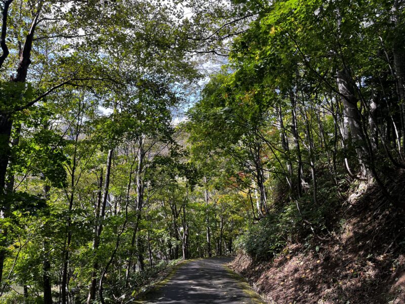 豊平峡の道